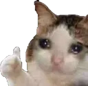 NiceThx