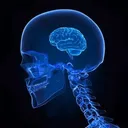 nobrain nobrain
