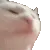 catjamspeed