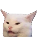 Cat_Stare_Wtf Cat_Stare_Wtf