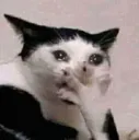 emoji_77