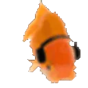 fishgroovefast