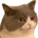 Uwut uwut Discord Emoji