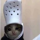 slippercat Discord Emoji