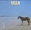 manhorse manhorse
