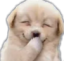 OTTstefgiggles Discord emoji