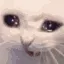 crycat