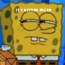 25EC8E587F8240E186CFAC4A75E23137