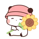 PandaSunflower