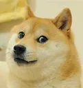 DOGE Discord Emoji