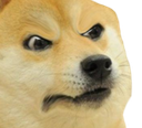 DogeBullshit Discord emoji