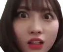 shockmomo