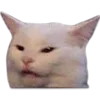ConfusedCat