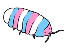 Transpod