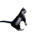 ch_blown Discord emoji