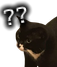 ch_tfusaying Discord emoji