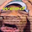 weed weed