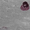 ch_slide