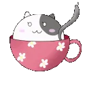 catmug