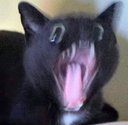 ch_AAAAAAAAA Discord emoji