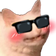ch_blushercool Discord emoji