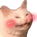 ch_blusher