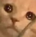 ch_oww Discord emoji