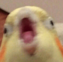 meme_04 Discord emoji