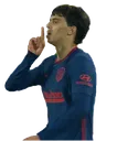joaoshush joaoshush