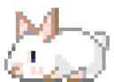 bunbun4 bunbun4