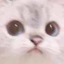 Umm