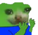Sad_Pepe_Cat