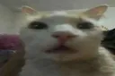 godd godd