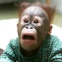 03600b90067747e0bb3ca979557e5582