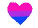 bisexual
