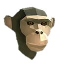 monkey_stare monkey_stare