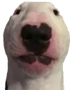 walter