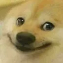 Doge Smile dogesmile Discord Emoji