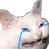 sadcat