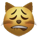 KittyKain Discord Emoji