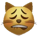 KittyKain KittyKain