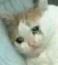 sad