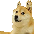 dogeCeption