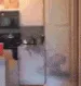 foop