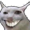 weshzoom weshzoom