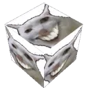 weshbox