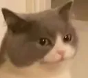 wait