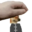 crow_when_aldin