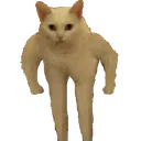 FScat