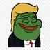 TrumpPepe7272 Discord Emoji